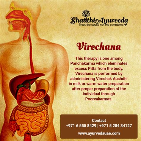 verechan|Virechana Treatment in Ayurveda